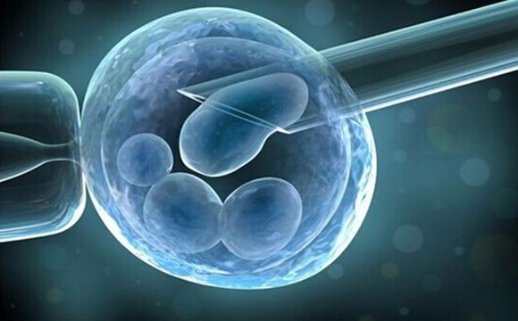 试管婴儿胚胎移植后女方的注意事项