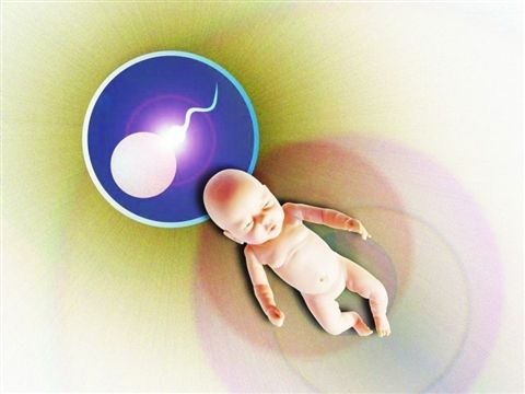 试管婴儿中，3天胚胎和5天胚胎有什么区别?