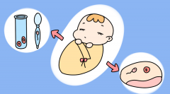 试管婴儿与普通婴儿的区别在哪里?